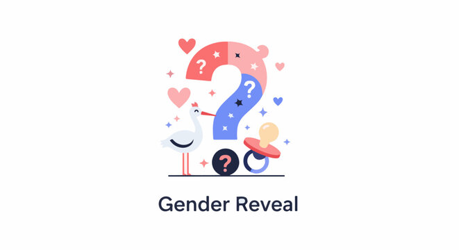 A stork with a pacifier and question marks symbolizes a surprise baby gender announcement