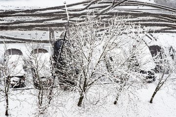 Fototapeta premium snow-covered trees and cars after spring snowfall