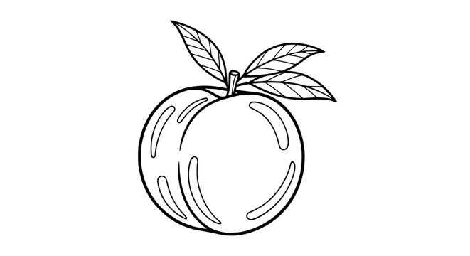 Simple Line Drawing of a Peach with Leaves, Isolated on White Background