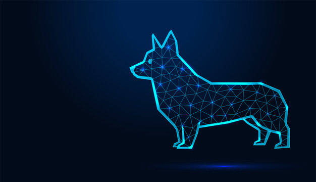 Polygonal low poly wireframe corgi dog standing profile on dark blue background.