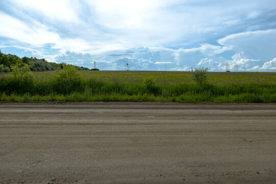 Expansive green field with tall grass and scattered trees under a cloudy sky, dirt road visible in the foreground, power lines stretching across the horizon