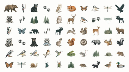 Collection of watercolor illustrations of forest animals, plants, and nature elements. © Eza