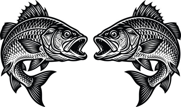 Black and white illustration of two fish facing each other