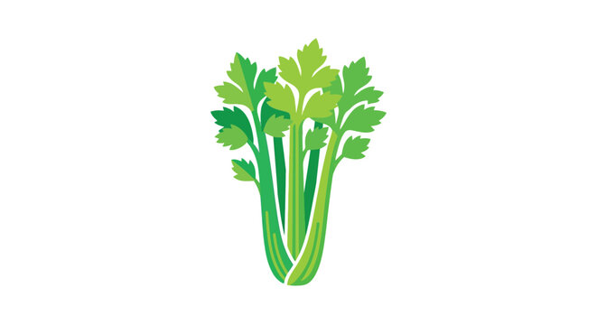 celery bunch vector illustration vegetable food green