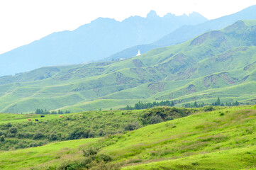 Obraz premium 阿蘇山の雄大な美しい風景