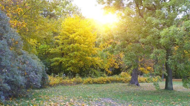 Two little sisters walking on autumn forest