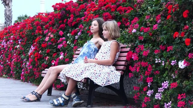 Two little girls are sitting on wooden bench near beautiful living fence made of red flowers.