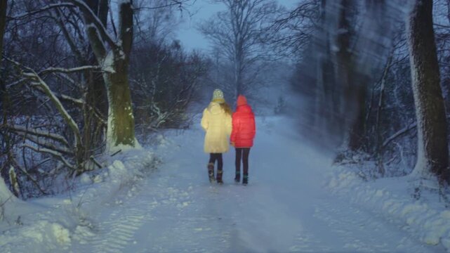 Two sisters go along the snowy winter road in the evening.