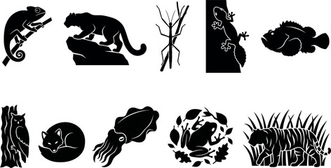 Black silhouettes of various animals on white background  nature wildlife icons set © SAYEDAJANNATUL