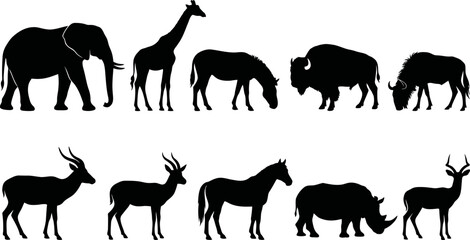 Fototapeta premium Black silhouettes of various wild animals on white background elephant giraffe horse