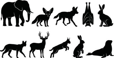 Black silhouettes of various wild animals on white background © SAYEDAJANNATUL