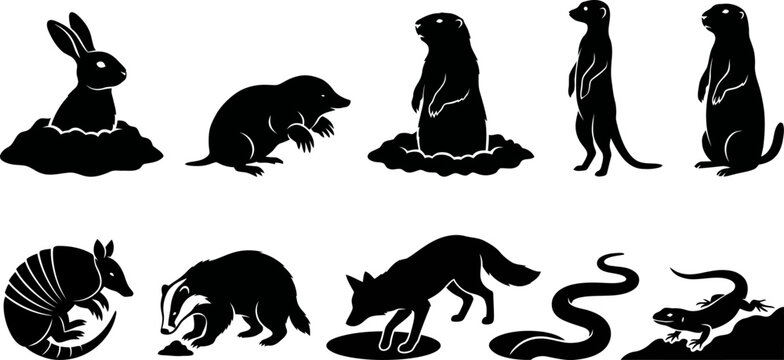 Collection of various animal silhouettes on white background  wildlife icons set