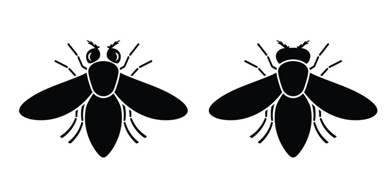 Cartoon insects. Flesh eating screw worm fly. Insect, screw-worm fly or vaker screwworm fly. Cochliomyia macellaria insect. Black silhouette concept. their larvae feed on living animal tissue.