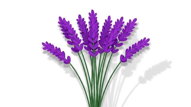 Minimalist stylized purple lavender flowers on white background.