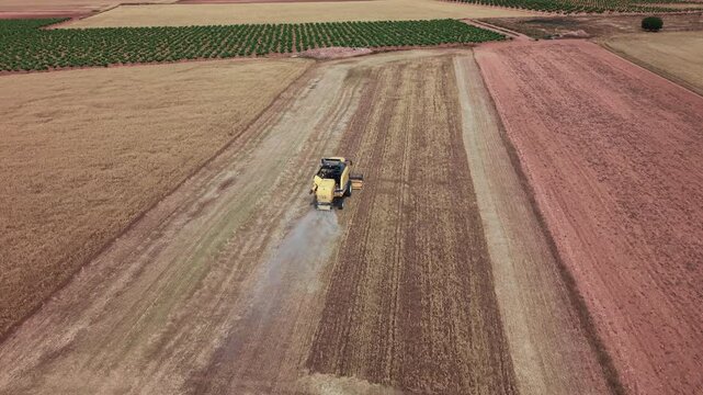 Aerial view of combine harvester harvesting ripe wheat field in summer countryside. Castilla-La Mancha, Spain.