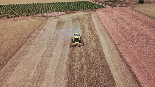 Aerial view of combine harvester harvesting ripe wheat field in summer countryside. Castilla-La Mancha, Spain.