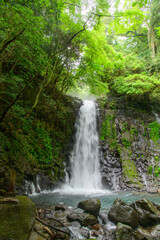 Fototapeta premium A very beautiful waterfall landscape surrounded by nature in Japan.