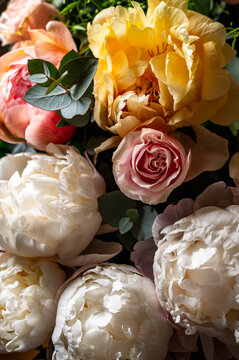 Macro shot of fresh bunch of peonies bouquet of different colors. Card Concept, gentle abstract floral background image, close up, shallow DoF