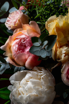 Macro shot of fresh bunch of peonies bouquet of different colors. Card Concept, gentle abstract floral background image, close up, shallow DoF