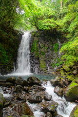Fototapeta premium A very beautiful waterfall landscape surrounded by nature in Japan.