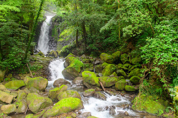 Fototapeta premium A very beautiful waterfall landscape surrounded by nature in Japan.