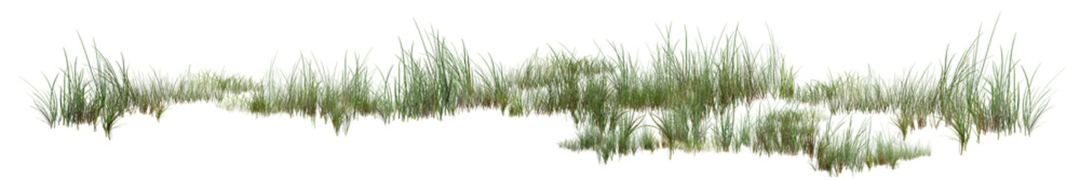 green grass on white background/High-resolution isolated green grass border on white background, sharp and detailed realistic lawn tuft element for landscape design and architectural rendering.