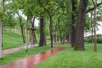 Obraz premium Winding red path through a green park with trees