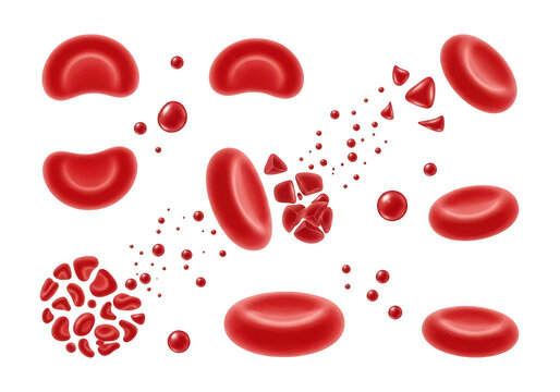 Red cells and fragmented cellular particles floating in a microscopic view of human circulatory system biology isolated on a transparent background