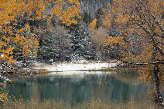 Autumn Forest with First Snow by a Lake