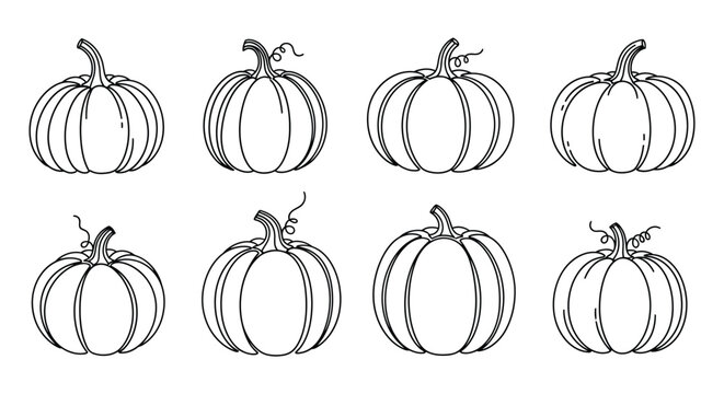 Pumpkin Line Art Pattern With Curled Stems Black And White