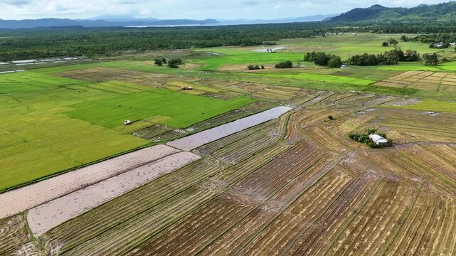 Aerial drone view of harvested and plowed rice paddies with flooded irrigation channels and a small farmhouse beside green jungle and mountain backdrop, Bato, Taytay, Palawan, Philippines.