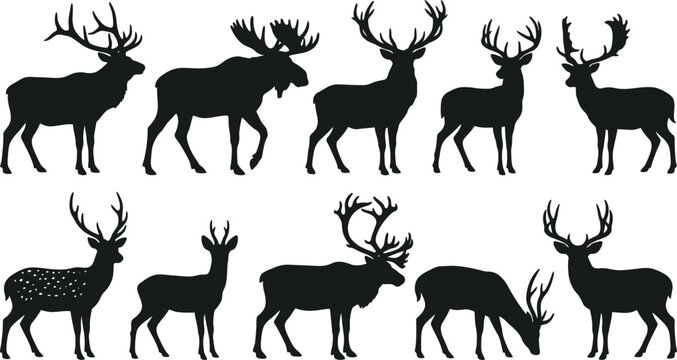 Black silhouettes of deer with antlers on white background