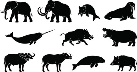 Black silhouettes of various wild animals on white background  elephant walrus narwhal © SAYEDAJANNATUL