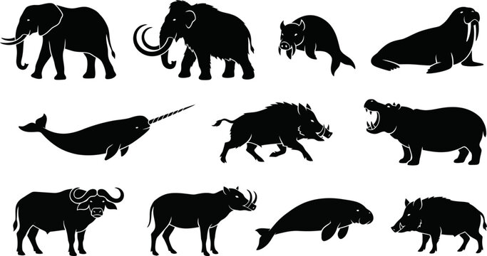 Black silhouettes of various wild animals on white background  elephant walrus narwhal