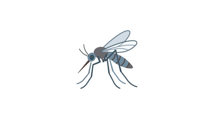 Mosquito illustration, insect pest, isolated on white background © Abdul Handi