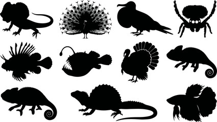 Collection of animal silhouettes including birds and reptiles on white background © SAYEDAJANNATUL