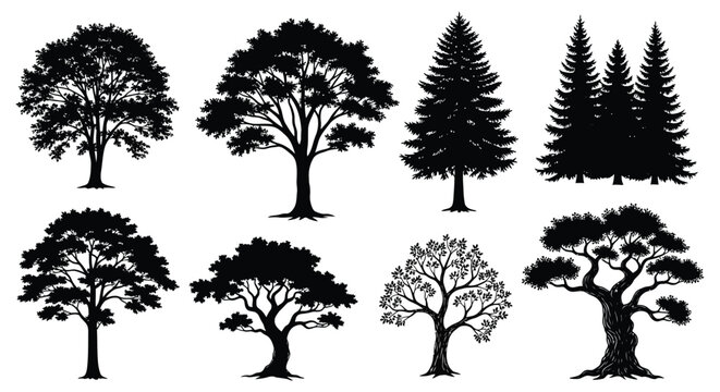 Tree silhouettes collection black shapes on a white background