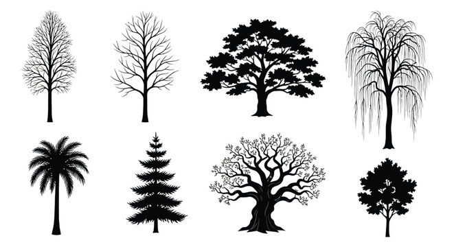 Collection Of Tree Silhouettes Black On White Background
