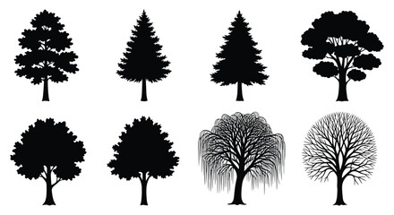 Black Silhouette Collection Of Various Tree Shapes Against White Background © Safia512