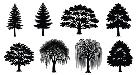 Black Tree Silhouettes Collection Variety Of Forest Shapes © Safia512
