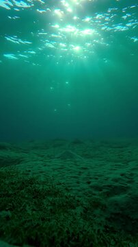 Vertical footage, Seabed with sandy hills in vivid sunbeams at sunrise (golden hour), Camera moves forward above hilly sand bottom in the morning light, Natural background of underwater desert scenery