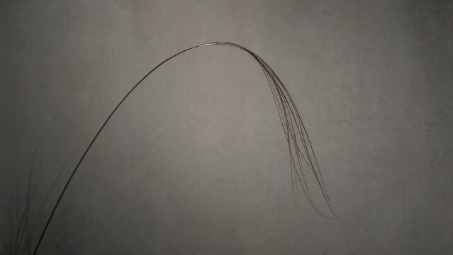 Curved drooping lines in muted gray tones, conveying humility.