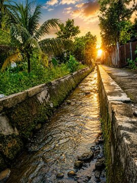 siring flow in the afternoon