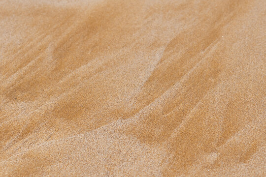 Macro view of fine grains forming sharp ridges. Detailed mineral textures under bright sunlight offer a cinematic surface for modern design and organic branding projects