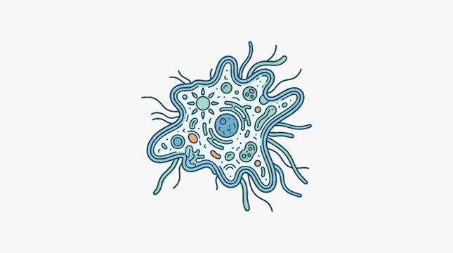 Amoeba single cell organism illustration with pseudopods.