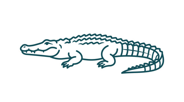 Simple Line Art Illustration of an Alligator on White Background
