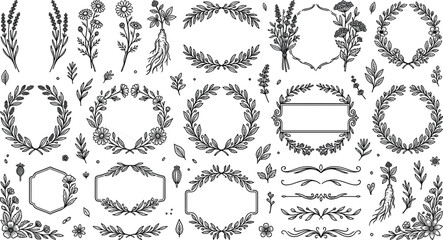 Vintage botanical wreaths and floral border frames set featuring hand drawn medicinal herbs lavender chamomile roots and decorative text dividers linocut vector © Sujon Shah