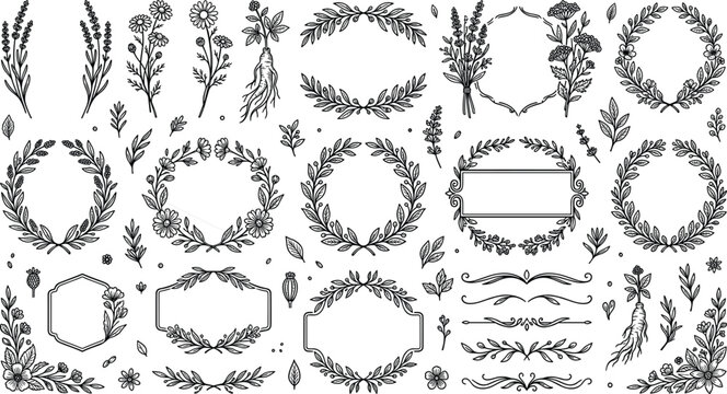 Vintage botanical wreaths and floral border frames set featuring hand drawn medicinal herbs lavender chamomile roots and decorative text dividers linocut vector