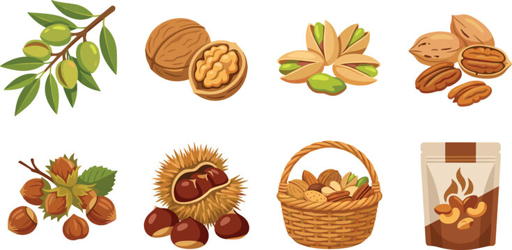 Vector Collection of Various Nuts Featuring Walnuts Pistachios Pecans Hazelnuts Chestnuts and Healthy Snack Food Packaging
