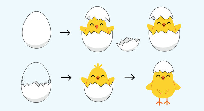 Informative step by step illustration showing the process of a yellow baby chick hatching from its white egg shell for school.